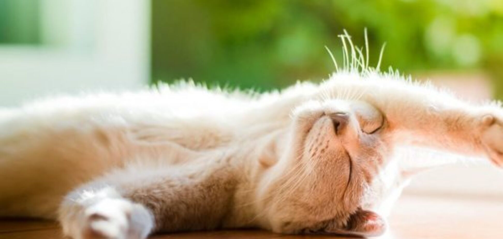 Коли в Україні потеплішає: синоптик уточнила прогноз