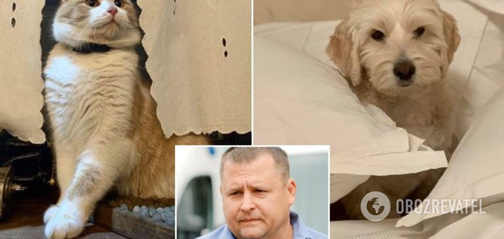 'Любовь всей моей жизни!' Филатов поделился трогательной историей о своих домашних любимцах: фото