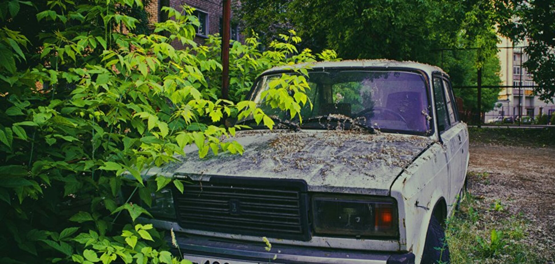 У Києві неадекватна пара зайнялася сексом на капоті авто. Відео 18+