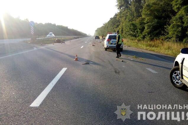 Под Житомиром произошло кровавое ДТП с конной повозкой: есть погибшие