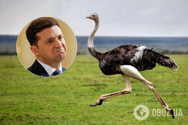 Премія 'Страуса': люстратор Зеленський, Путін і черв'яки, Космос і Г-люди