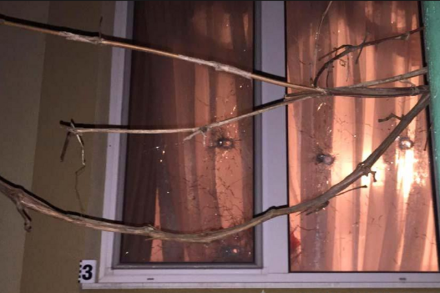 Знайшли в сейфі у діда: на Рівненщині вибухом вбило двох дітей