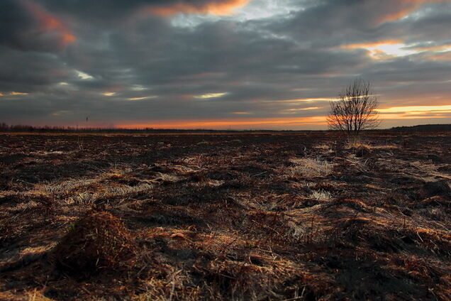 Недава разработал десятилетнюю госпрограмму восстановления экосистемы Донбасса