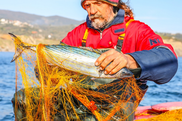 День рыбака – традиции и лучшие поздравления