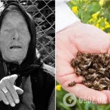 Ванга предсказала пчелиный мор