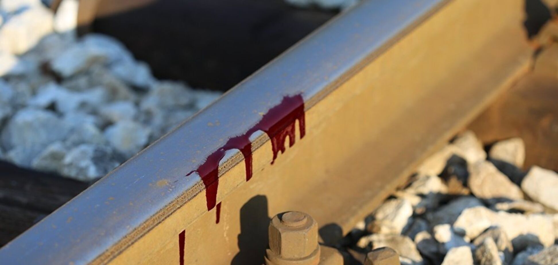 У Дніпрі поїзд задавив чоловіка: фото і відео 18+