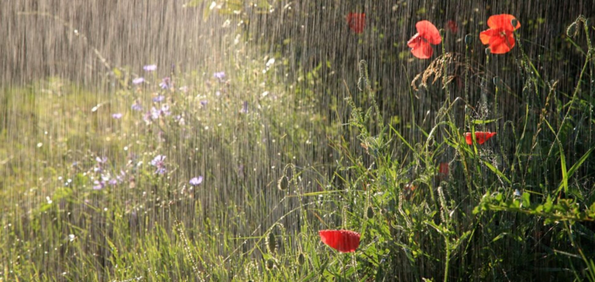 Заллє дощами: синоптики уточнили прогноз по Україні