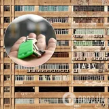 Квартиры в Украине