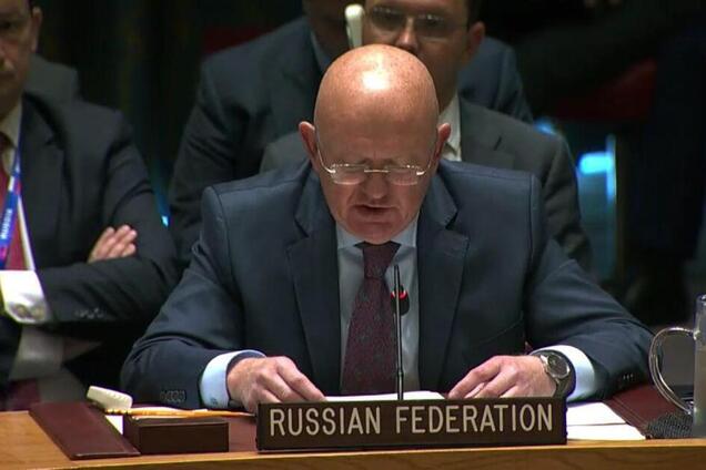"Насильственная украинизация!" Россия закатила истерику в ООН из-за украинского языка