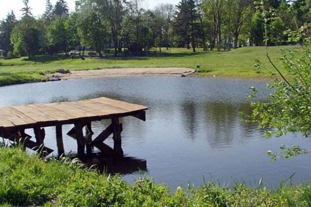 Викликає кишкову інфекцію: під Києвом у ставку виявили небезпечні бактерії