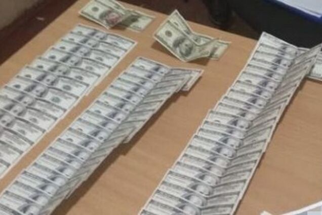 Начальника Госгеокадастра Новомосковского района и ее зама поймали на взятке