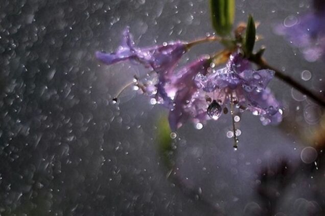 Дощі і до +28: синоптики уточнили свіжий прогноз по Україні