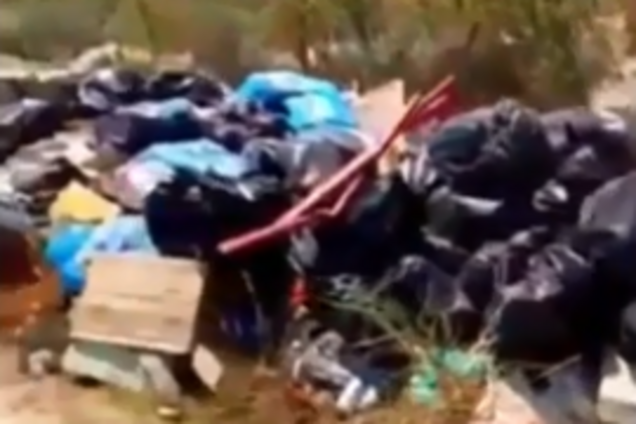 'Вонь, черви, гадюки и мыши': популярный курорт Украины утонул в мусоре. Видеофакт