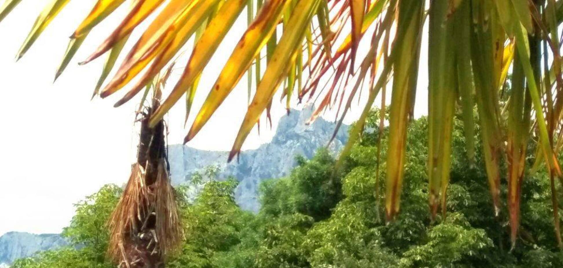 'Крым умрет!' Оккупанты 'обеспечили' полуострову новую катастрофу. Фото