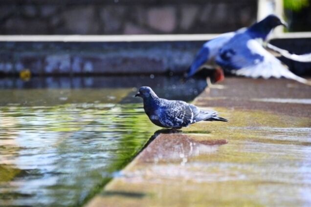 Синоптик повідомила, коли в Україні знову похолодає