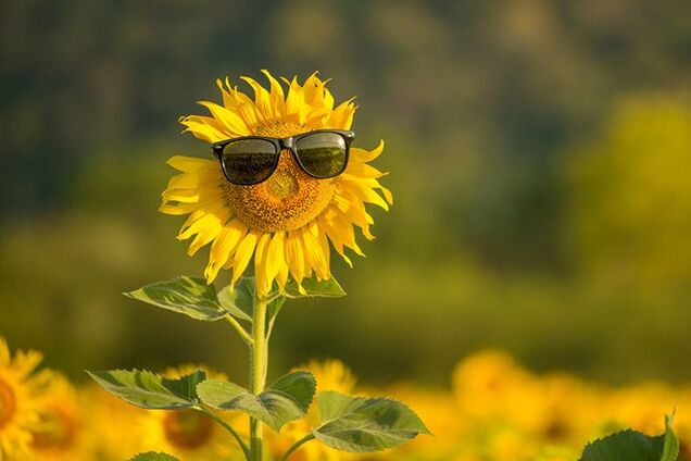 Погода на выходных в Днепре: прогноз на 20 и 21 июля