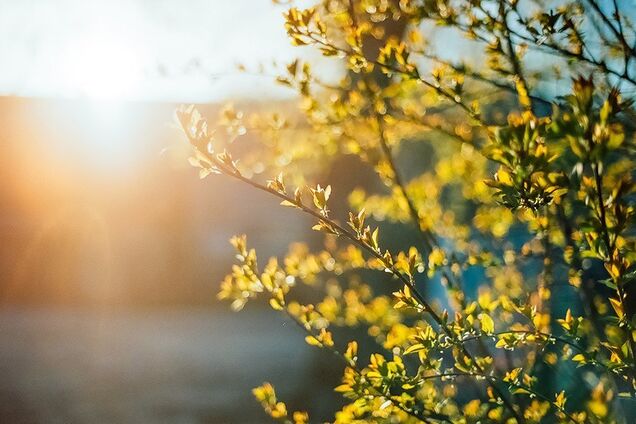 Солнечно и комфортно: синоптик обнадежила Украину прогнозом погоды