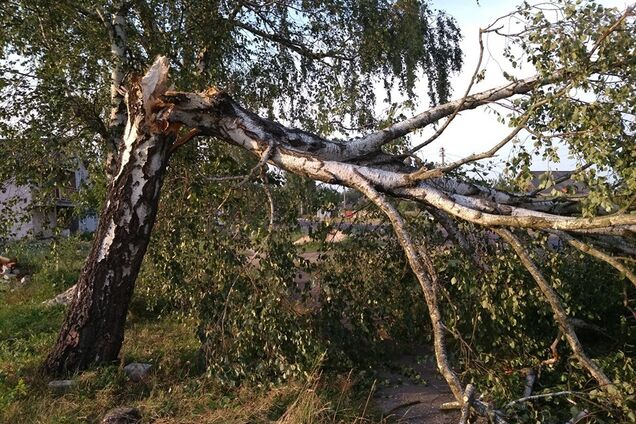 Україною пронісся потужний буревій: фото та відео безжальної стихії
