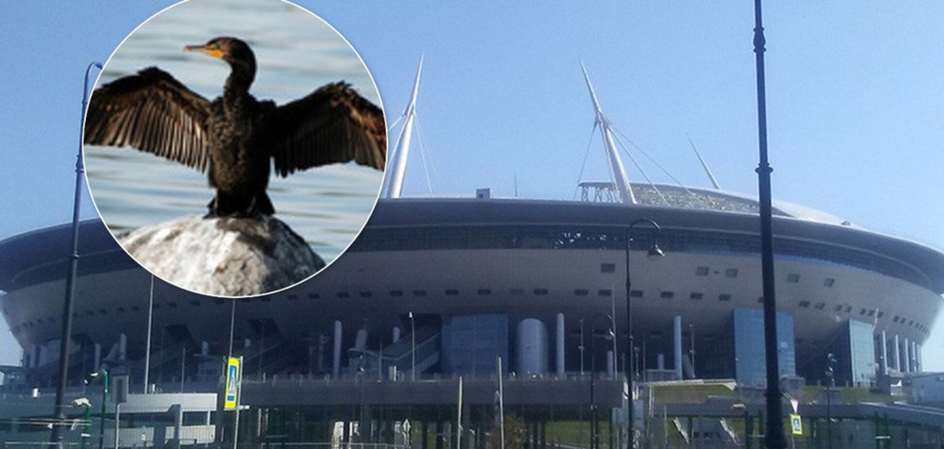 'Передсмертні крики' зі стадіону налякали росіян