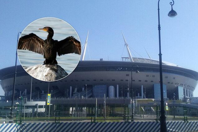'Передсмертні крики' зі стадіону налякали росіян