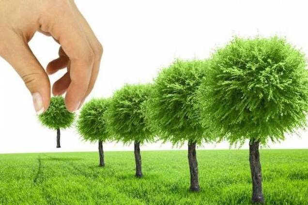 Благоустрій території