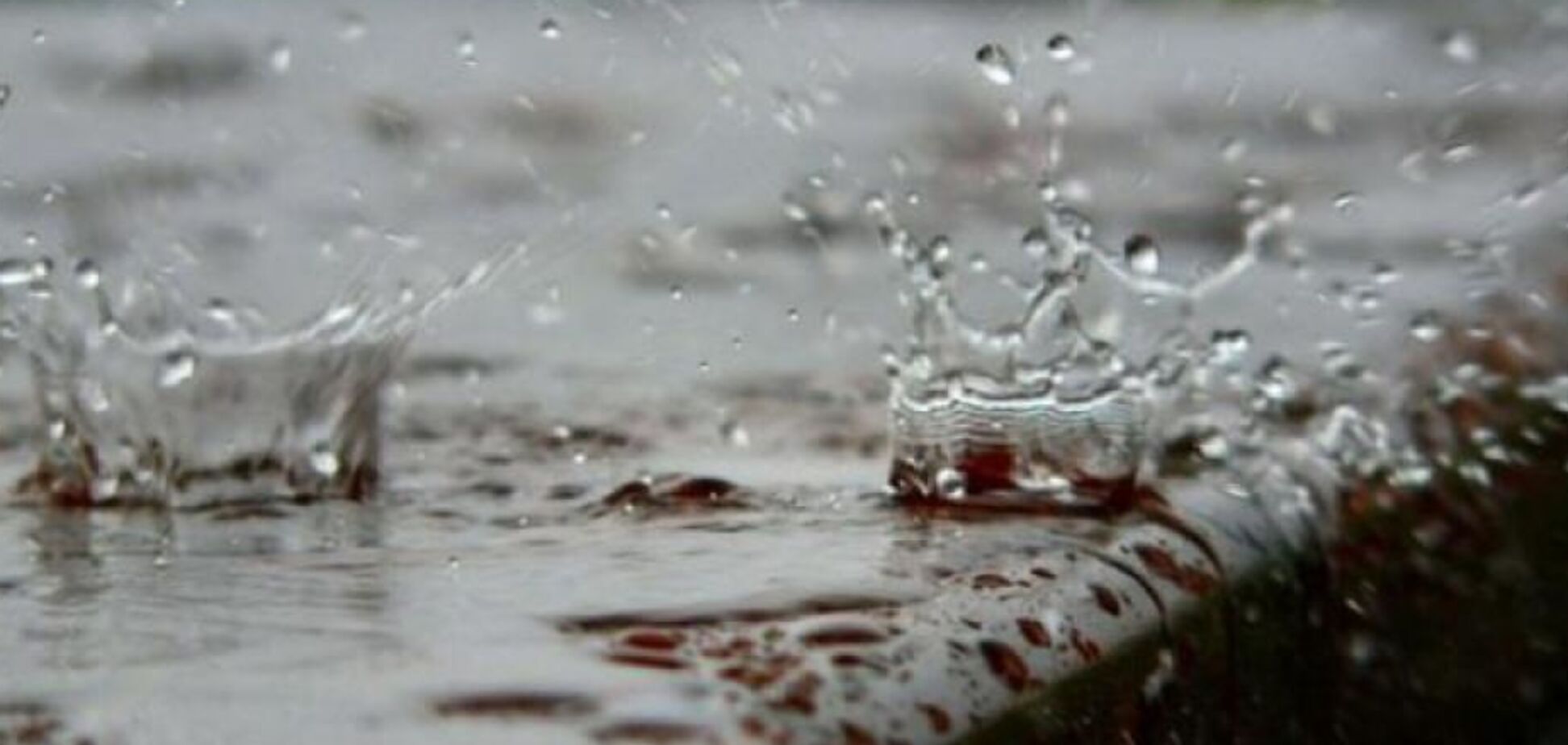 Дожди с грозами: синоптик предупредила об изменении погоды в Украине