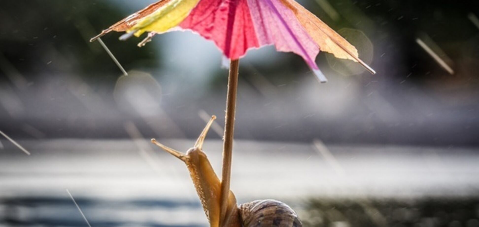 Накроют дожди: синоптики предупредили о переменчивой погоде в Украине