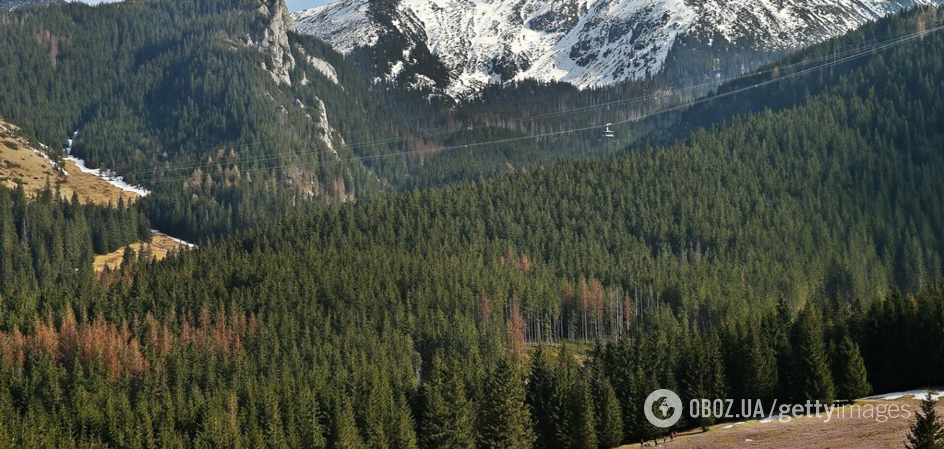 Зеленський взявся за розвиток Карпат: що змінить указ президента