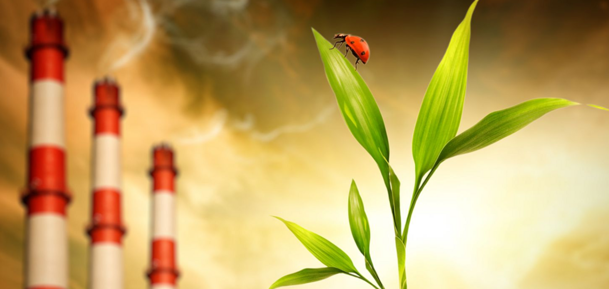 Экоинспекция парализована: экологи сделали заявление