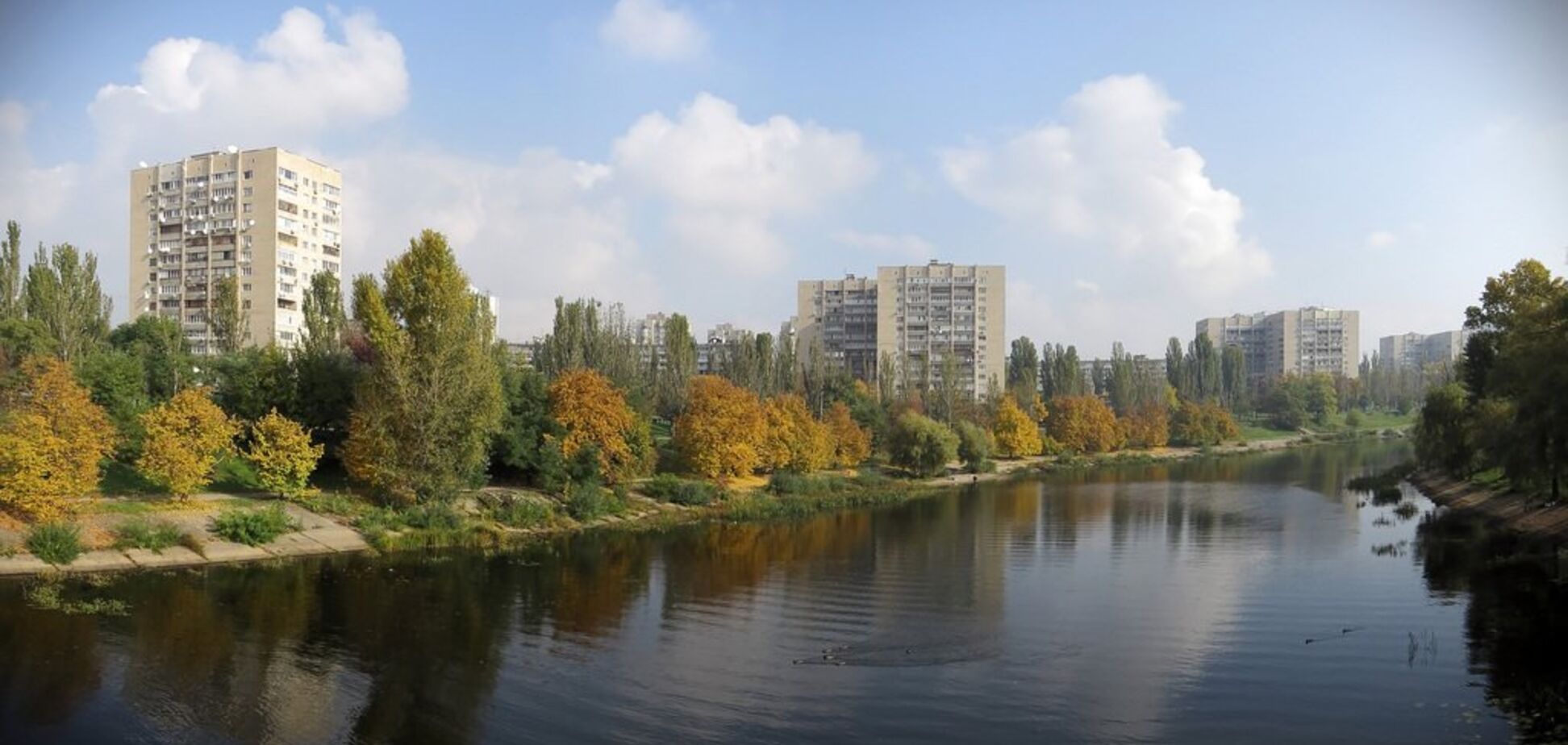 В Киеве пытались утопить женщину: появились новые подробности