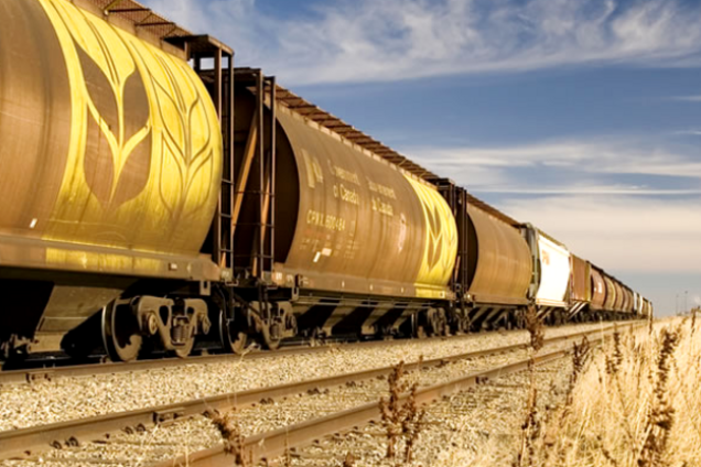 'Укрзалізниця' знижує рентабельність виробництва зернових в Україні – голова зернової асоціації