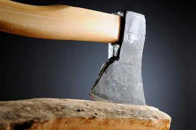 Напала с топором на сожителя: жительница Днепра проведет в тюрьме 7 лет