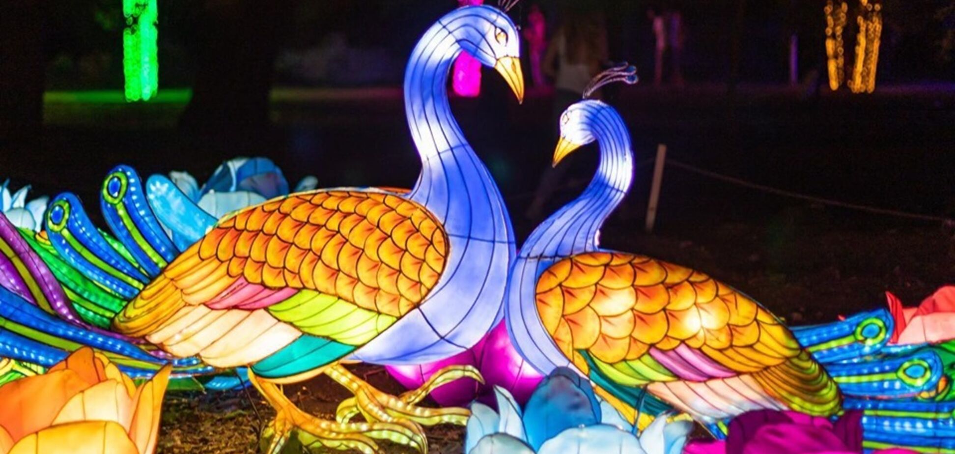 В Одессе установят национальный рекорд Украины