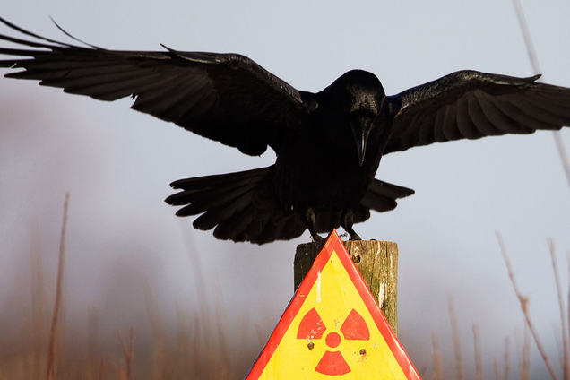 'Буде другий Чорнобиль!' Росію попередили про катастрофу