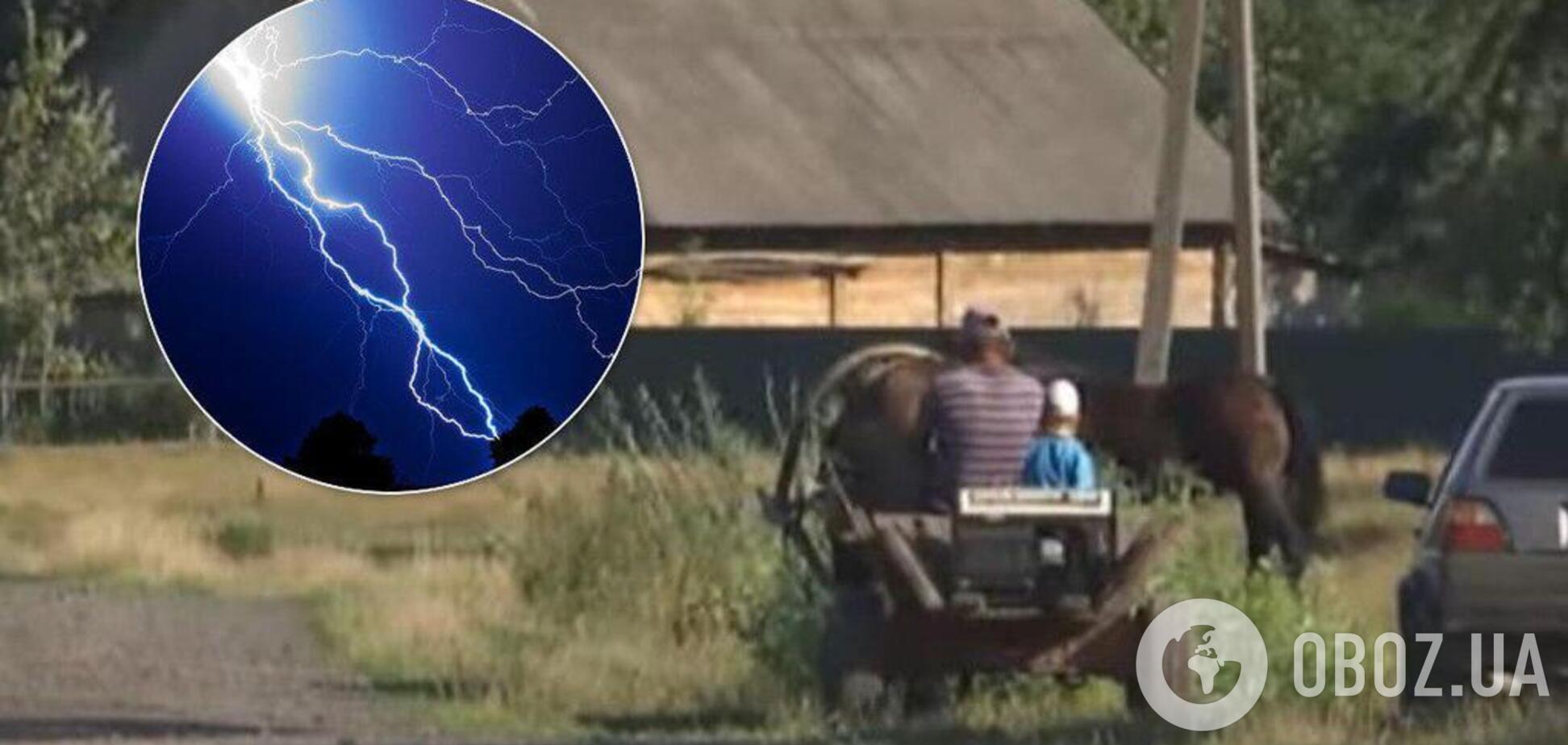 На Волыни молния убила коня и выбросила из повозки ребенка