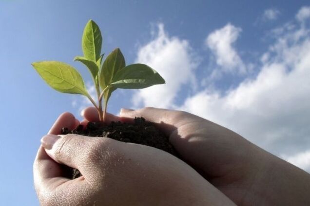 Манипуляции на экологической теме продолжатся и после выборов – энергоэксперт