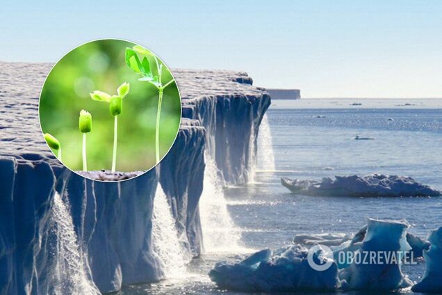 Конец света: названа технология, которая способна спасти мир от гибели