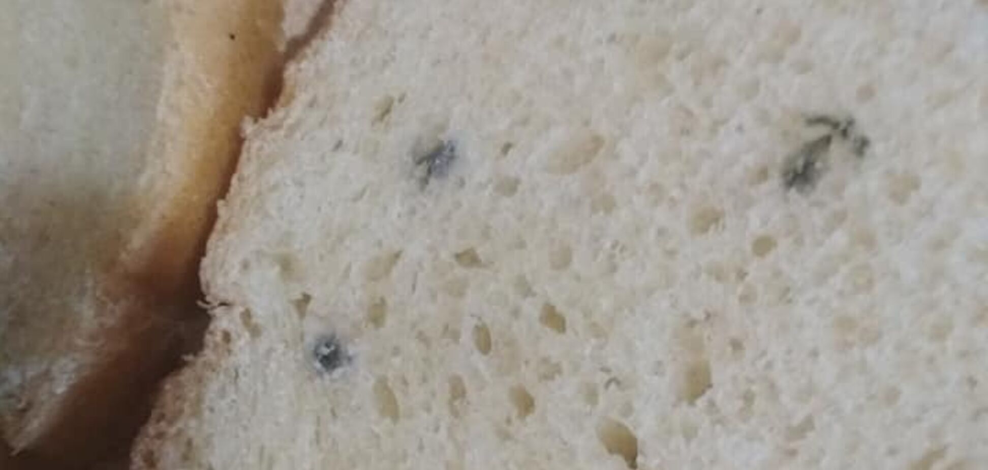 Испорченный хлеб 