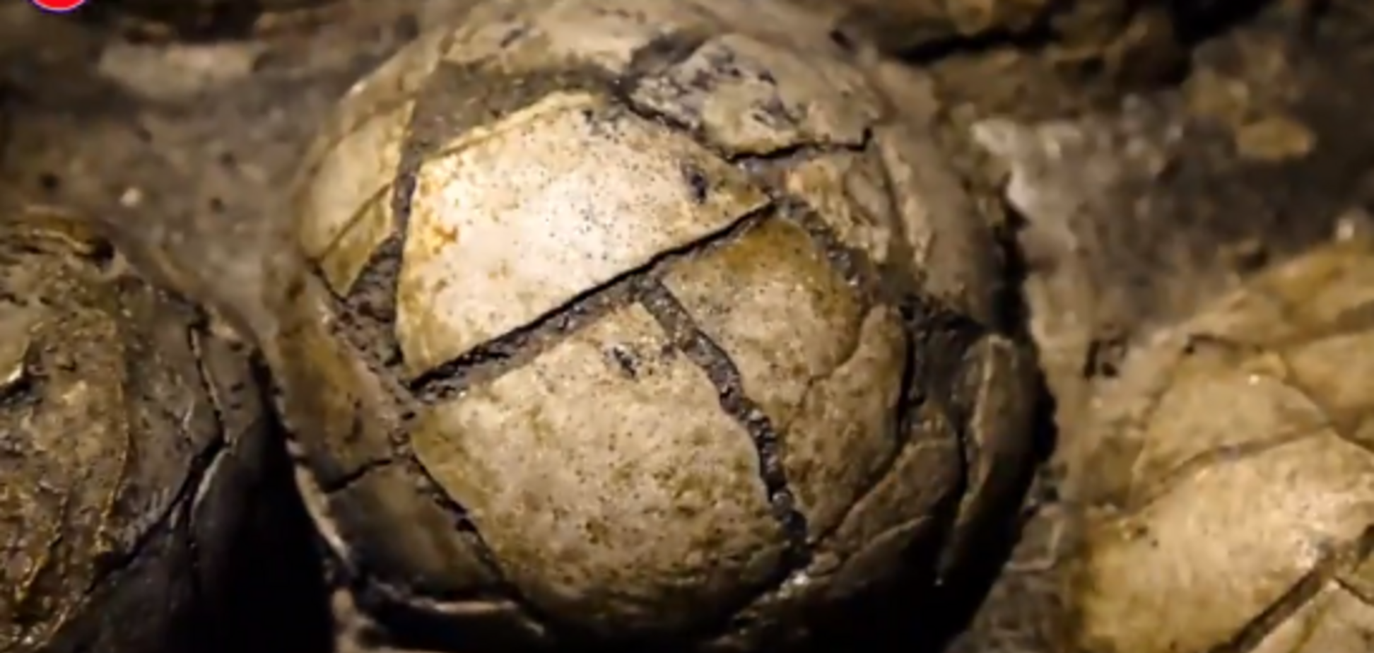 Яйца динозавра