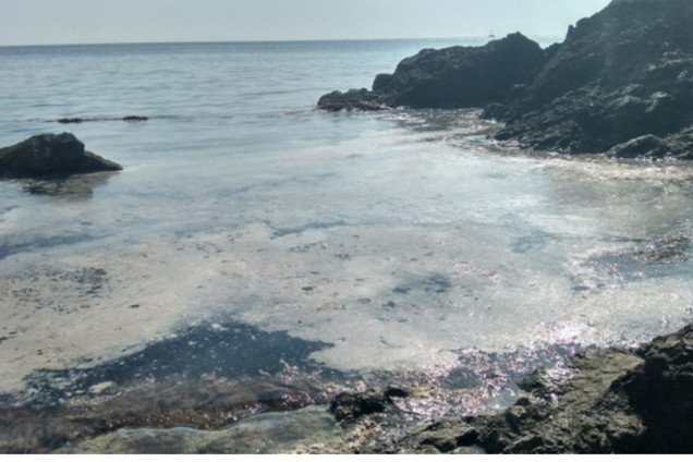 Новости Крымнаша. Российские оккупанты убивают не только пулями и снарядами