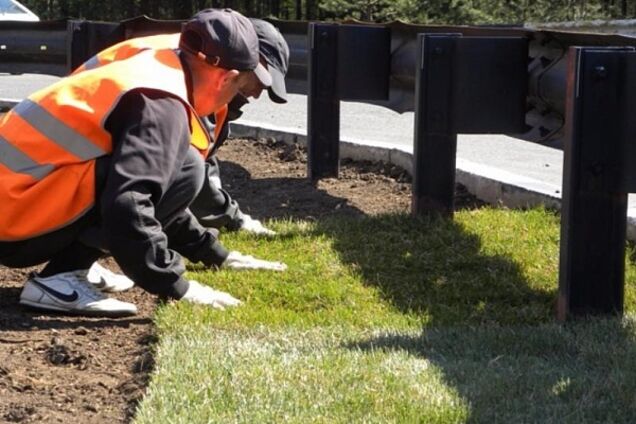 В Днепре озеленят территории и отремонтируют школы: список учреждений