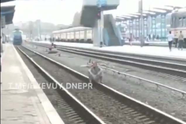 В Днепре мужчина сел на рельсы перед несущимся поездом. Видео