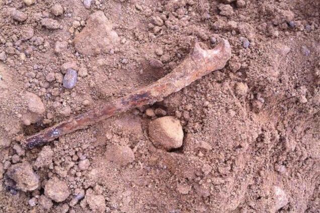 Трупы десятков замученных: во время поисков Даши Лукьяненко всплыла жуткая находка. Фотофакт