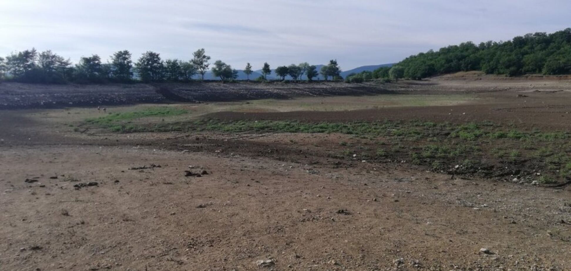 Новости Крымнаша. Овцы позвали волка, а потом взвыли