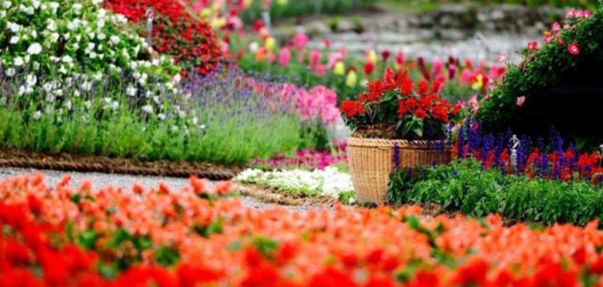 На Певческом поле установят национальный рекорд Украины