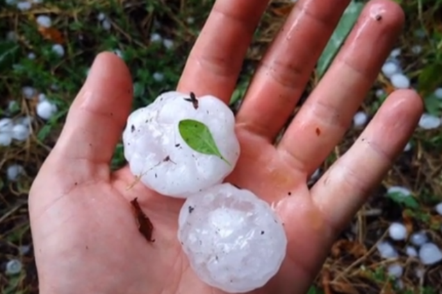 Вырваны деревья и сорваны крыши: по Украине пронесся мощный ураган. Видео