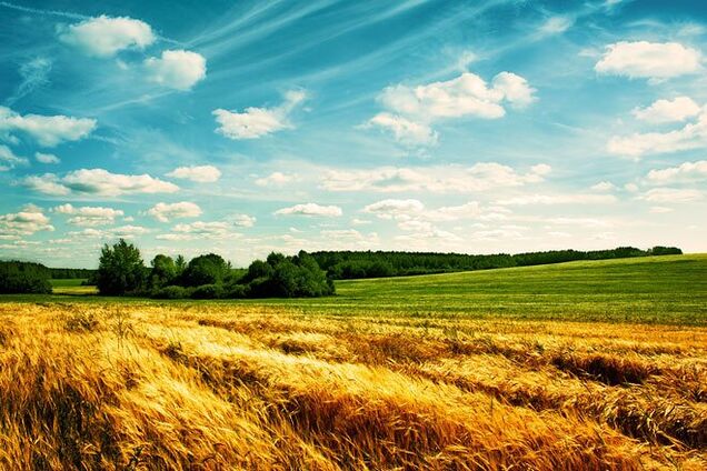 Когда закончится аномальная жара в Украине: появился прогноз