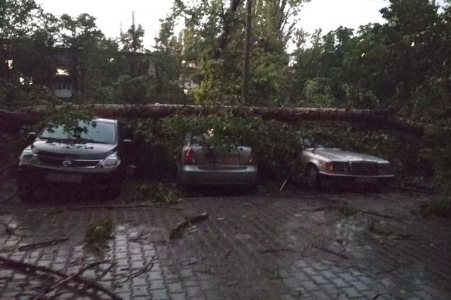 Сносило крыши, падали деревья: в Днепре прошел мощный ураган