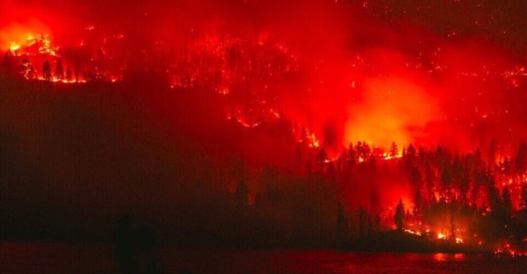 Лесные пожары в Сибири: подсчитаны убытки - новости России сегодня