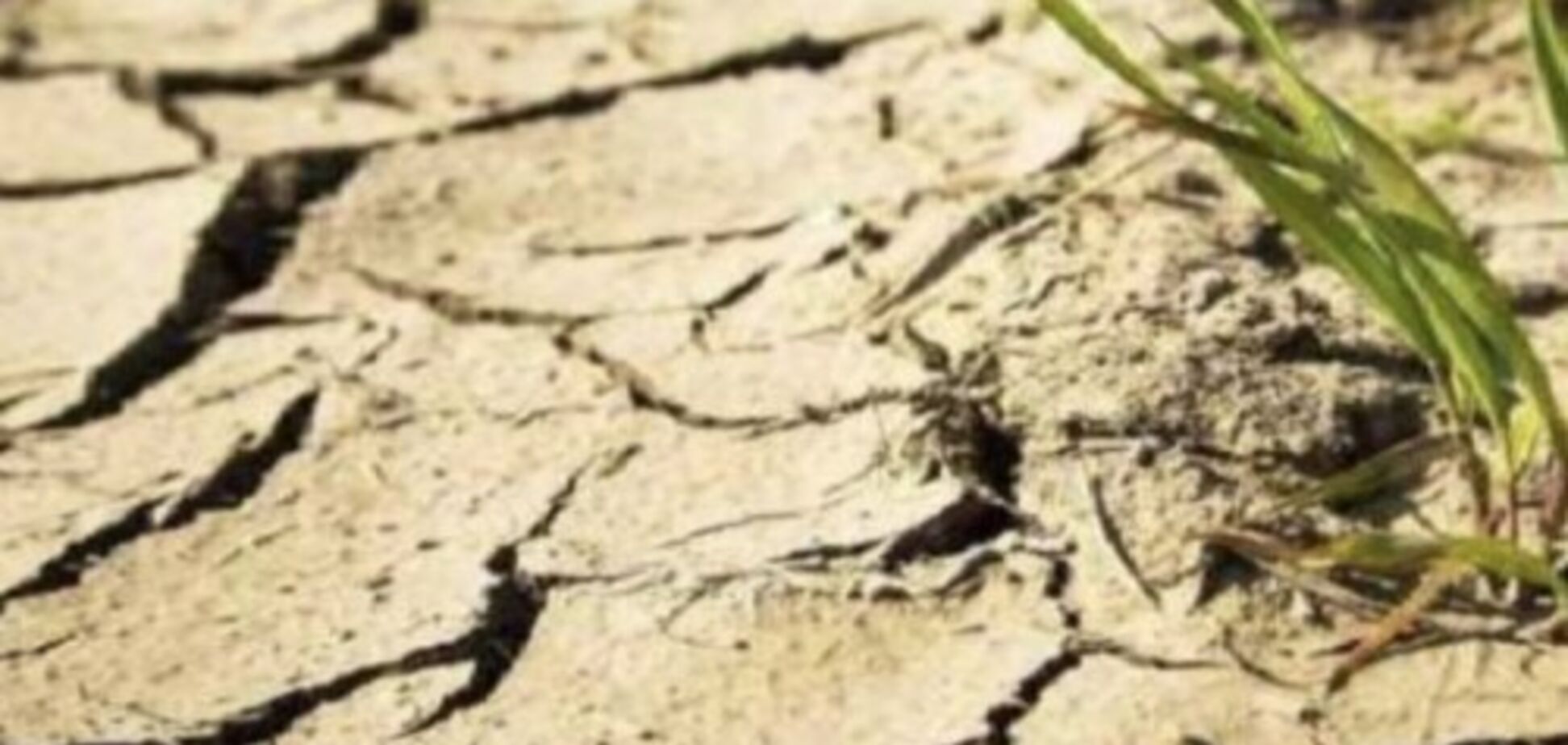 'До оккупации такой х**ни не было!' В Крыму отняли воду у жителей, люди возмущены